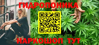мяу мяу мука Кулебаки