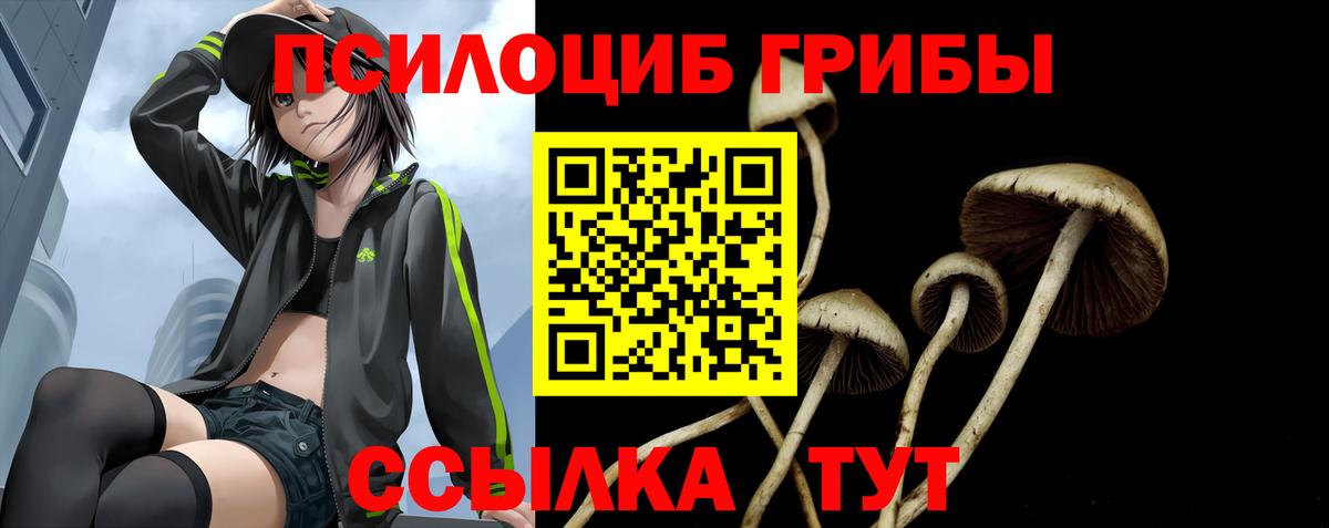 Галлюциногенные грибы MAGIC MUSHROOMS  Галлюциногенные грибы прущие грибы  Зерноград  Вход с VPN 